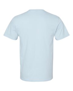 Gildan 65000 Unisex Softstyle® Midweight T-Shirt – Light Blue (back)