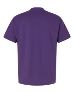 Hanes 5280 Unisex Essential-T T-Shirt – Athletic Purple (back)