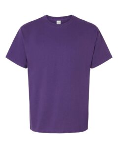 Hanes 5280 Unisex Essential-T T-Shirt – Athletic Purple