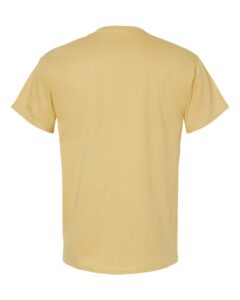 Hanes 5280 Unisex Essential-T T-Shirt – Athletic Gold (back)