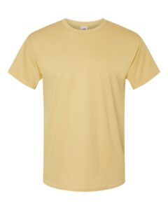 Hanes 5280 Unisex Essential-T T-Shirt – Athletic Gold