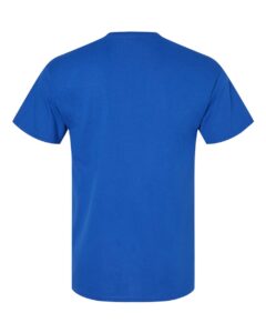 Hanes 5280 Unisex Essential-T T-Shirt – Athletic Royal (back)