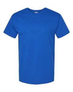 Hanes 5280 Unisex Essential-T T-Shirt – Athletic Royal