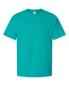 Hanes 5280 Unisex Essential-T T-Shirt – Athletic Teal