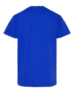 Hanes 5480 Youth Essential-T T-Shirt – Athletic Royal (back)