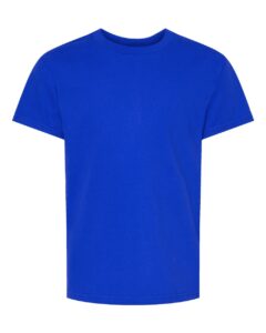 Hanes 5480 Youth Essential-T T-Shirt – Athletic Royal