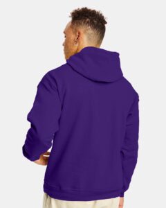 Hanes P170 Unisex EcoSmart® Hooded Sweatshirt – Athletic Purple (on model back)