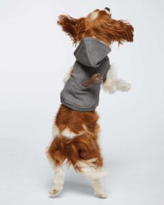 Doggie Skins 3926 Doggie 3-End Fleece Hooded Sweatshirt – Granite Heather (on model back)