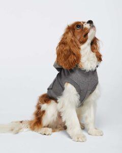 Doggie Skins 3926 Doggie 3-End Fleece Hooded Sweatshirt – Granite Heather (on model)