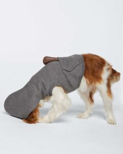 Doggie Skins 3926 Doggie 3-End Fleece Hooded Sweatshirt – Granite Heather (on model side)
