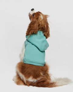 Doggie Skins 3926 Doggie 3-End Fleece Hooded Sweatshirt – Saltwater (on model back)