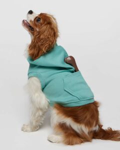 Doggie Skins 3926 Doggie 3-End Fleece Hooded Sweatshirt – Saltwater (on model)