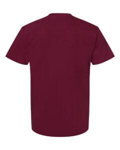 Hanes 5280 Unisex Essential-T T-Shirt – Athletic Cardinal (back)