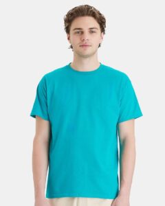 Hanes 5280 Unisex Essential-T T-Shirt
