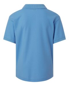 AllPro 62800Y Youth Pique Polo – Carolina Blue (back)