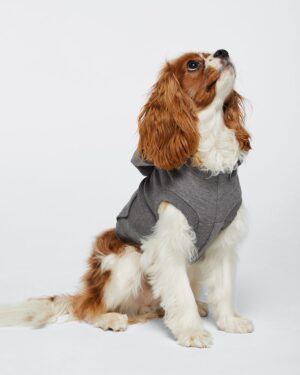 Doggie Skins 3926 Doggie 3-End Fleece Hooded Sweatshirt