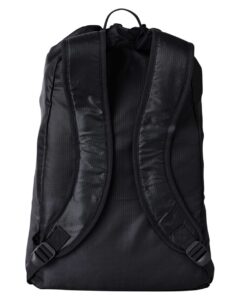 BAGedge BE278 Getaway Cinchback Travel Backpack – Black (back)