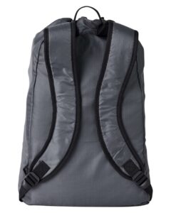 BAGedge BE278 Getaway Cinchback Travel Backpack – Grey (back)