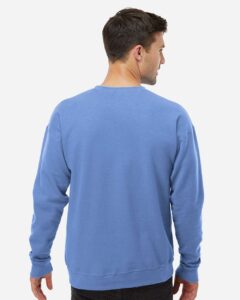 Tultex 340 Unisex Fleece Crewneck Sweatshirt – Columbia Blue (on model back)