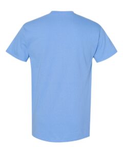 Heavy Cotton T-Shirt – Carolina Blue (back)