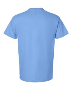 Gildan 2000 Unisex Ultra Cotton® T-Shirt – Carolina Blue (back)