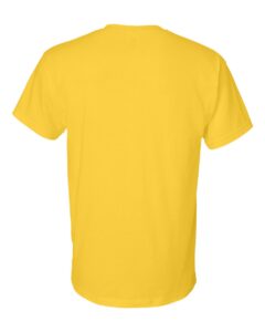Gildan 8000 Unisex DryBlend® T-Shirt – Daisy (back)