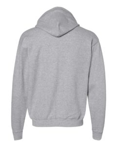 Hanes P180 Unisex EcoSmart® Full-Zip Hooded Sweatshirt – Light Steel (back)