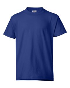 Hanes 5370 Youth EcoSmart® T-Shirt – Deep Royal