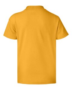 Hanes 5370 Youth EcoSmart® T-Shirt – Gold (back)