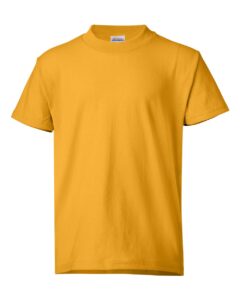Hanes 5370 Youth EcoSmart® T-Shirt – Gold