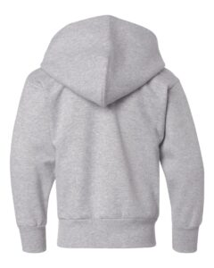 Hanes P473 Youth EcoSmart® Hooded Sweatshirt – Light Steel (back)