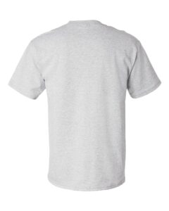 Hanes 5280 Unisex Essential-T T-Shirt – Ash (back)