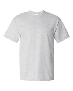 Hanes 5280 Unisex Essential-T T-Shirt – Ash