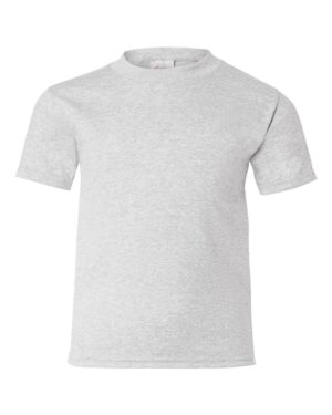 Hanes 5370 Youth EcoSmart® T-Shirt – Ash