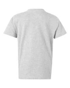 Hanes 5450 Youth Authentic T-Shirt – Ash (back)