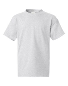 Hanes 5450 Youth Authentic T-Shirt – Ash