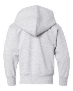 Hanes P473 Youth EcoSmart® Hooded Sweatshirt – Ash (back)