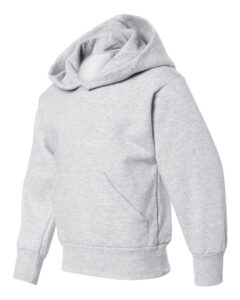 Hanes P473 Youth EcoSmart® Hooded Sweatshirt – Ash (side)