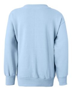 Hanes P360 Youth EcoSmart® Crewneck Sweatshirt – Light Blue (back)