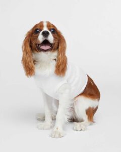 Doggie Skins 3902 Doggie Tank – White (on model)