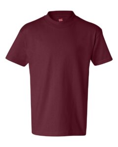 Hanes 5450 Youth Authentic T-Shirt – Cardinal