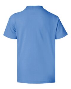 Hanes 5370 Youth EcoSmart® T-Shirt – Carolina Blue (back)
