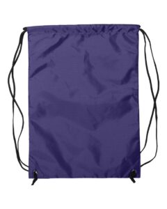 Liberty Bags 8888 Zippered Drawstring Backpack – Purple (back)