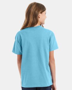 Hanes 5450 Youth Authentic T-Shirt – Blue Horizon (on model back)