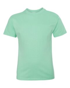 Hanes 5450 Youth Authentic T-Shirt – Clean Mint