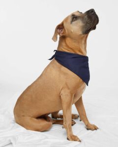 Doggie Skins 3905 USA-Made Doggie Bandana – Navy (on model)
