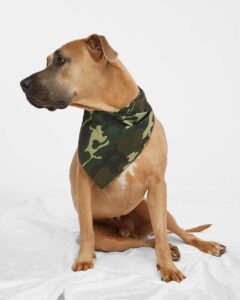 Doggie Skins 3905 USA-Made Doggie Bandana – Green Woodland (on model)