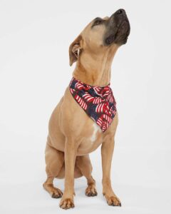 Doggie Skins 3905 USA-Made Doggie Bandana – Flag (on model)