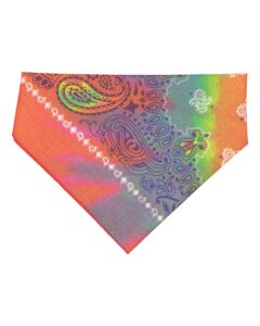 Doggie Skins 3905 USA-Made Doggie Bandana – Tye-Dye Paisley