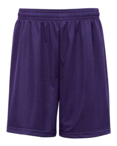 Badger 7239 Men’s Mini Mesh 9” Inseam Shorts – Purple